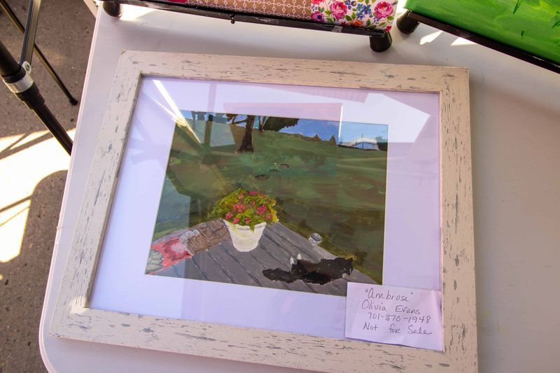 Jollybird Studio Home