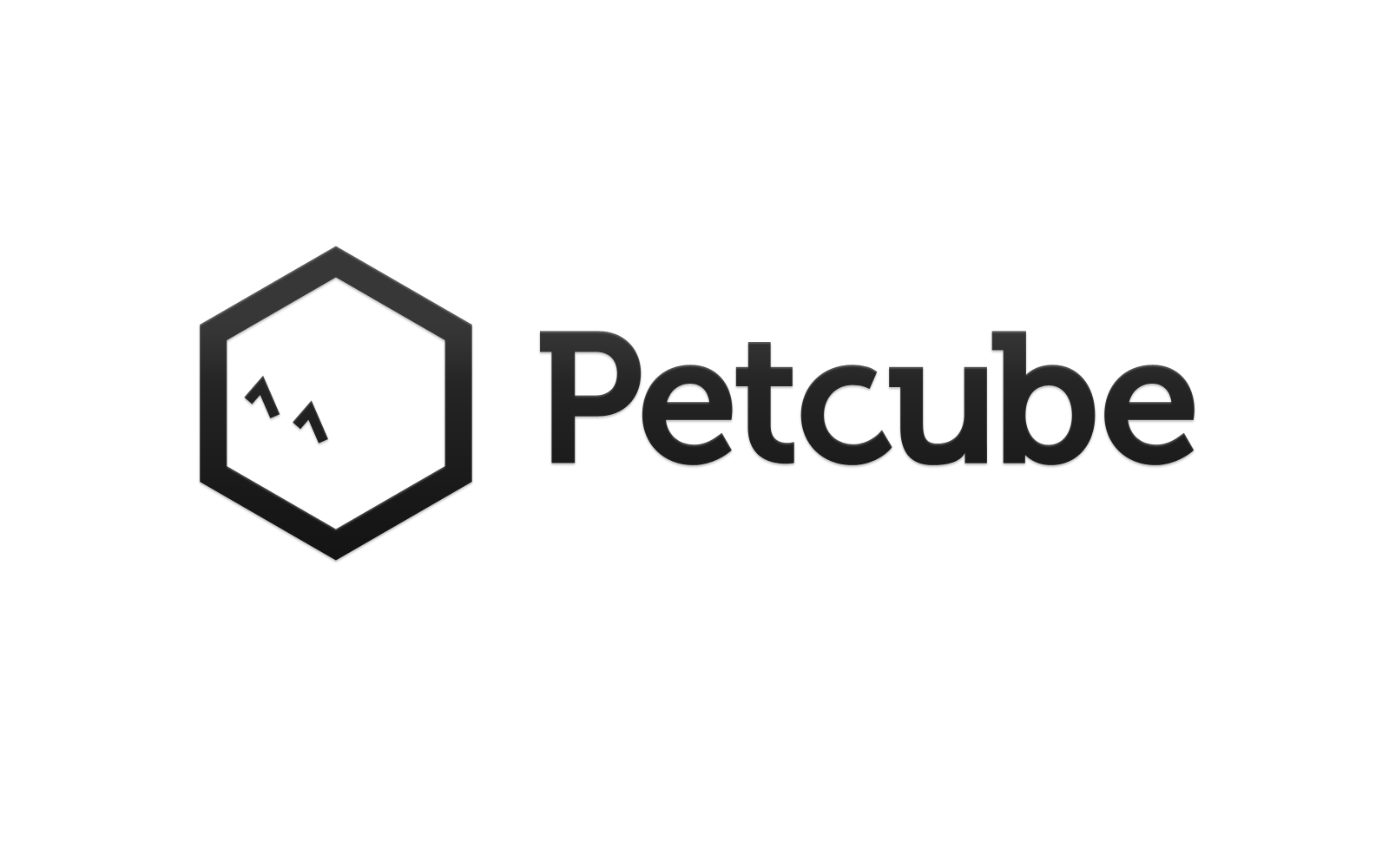 Petcube