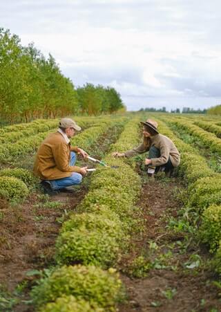 What is the Best Way to Begin Your Gardening Career?