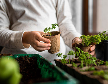 How to Plant Flowers with a Success Rate of 90% or Higher!