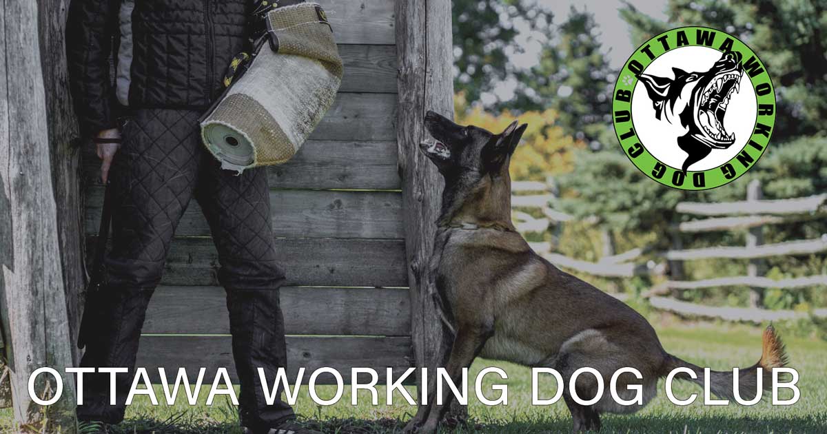 Ottawa Working Dog Club Schutzhund / IPO / IGP in Ottawa