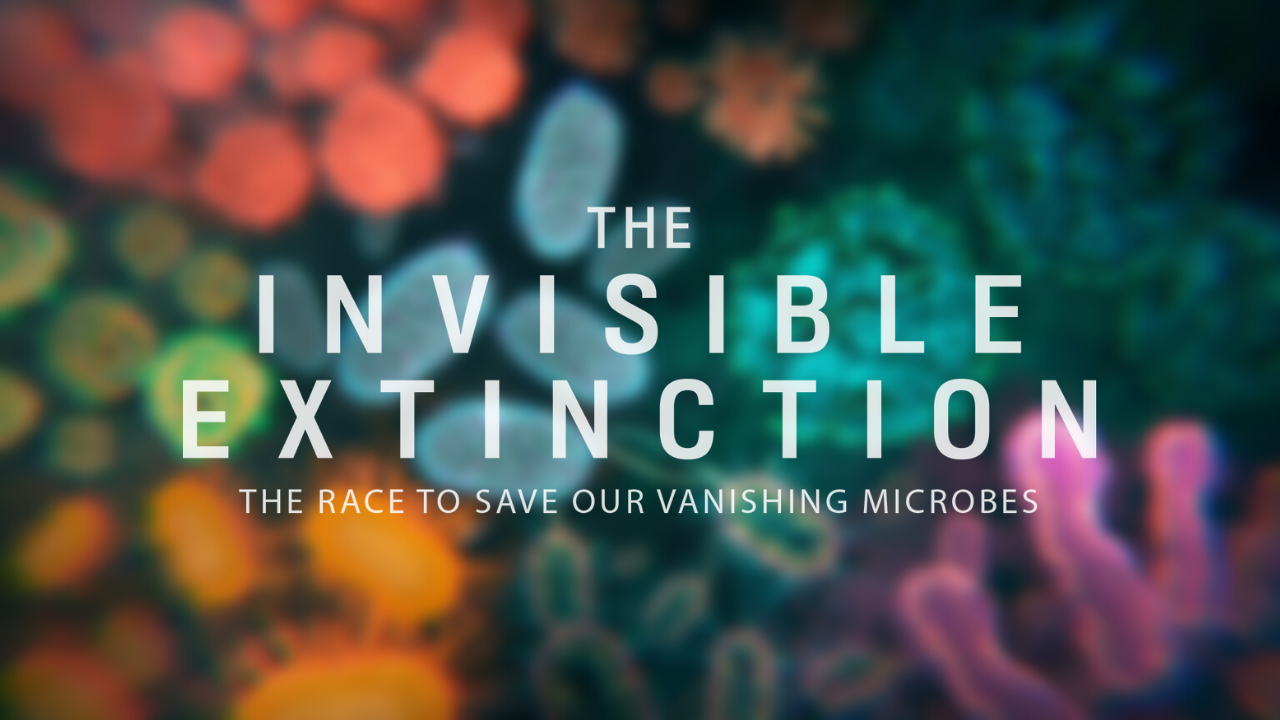The Invisible Extinction