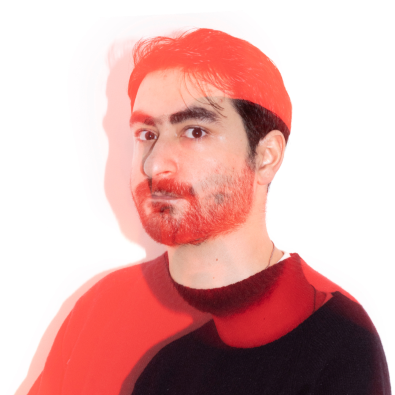 Artem Arsenian Webflow