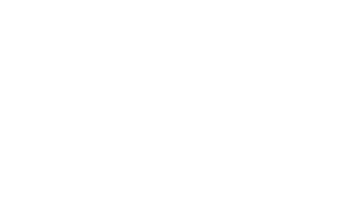 The deal piratzlabs logo