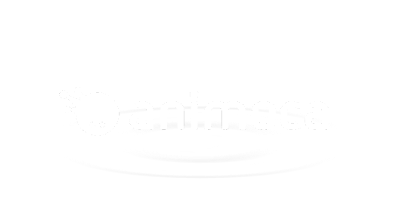 sponsor logo animoca