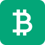 Bitcoin Icon