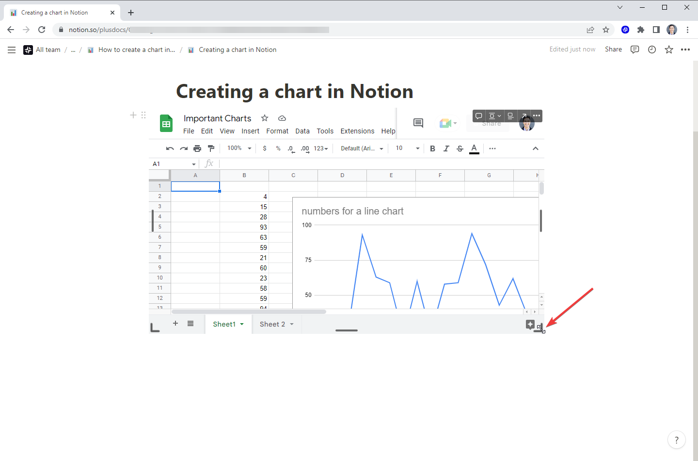 How to create a chart in Notion Plus