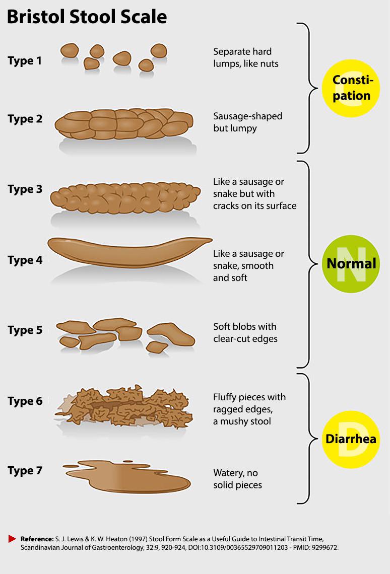 Bristol Stool Chart Seven Types Download Printable Pdf Templateroller ...