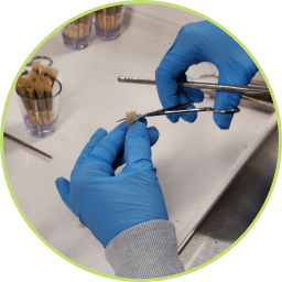 All Candre Cannabis pre-rolls are evenly trimmed.