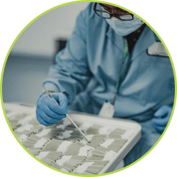 Our team closely inspecting our pre-rolls for any imperfections.