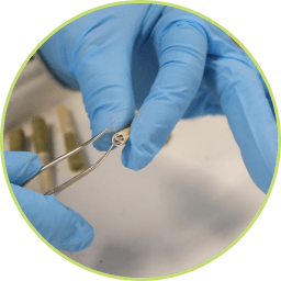 Candre Cannabis team member using tweezers to clean the pre-roll filters.