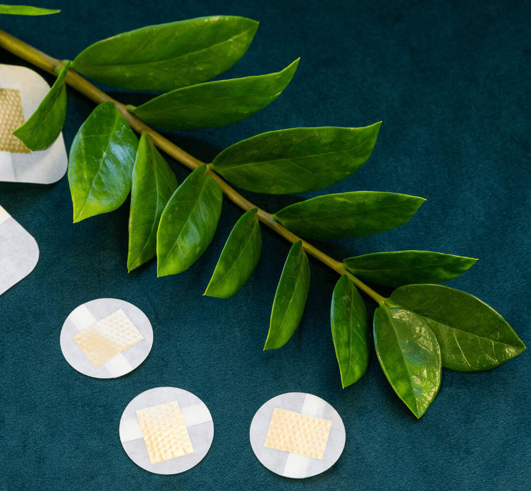Produkfotos der Reflexo Skin Pflaster dekoriert neben einer Pflanze