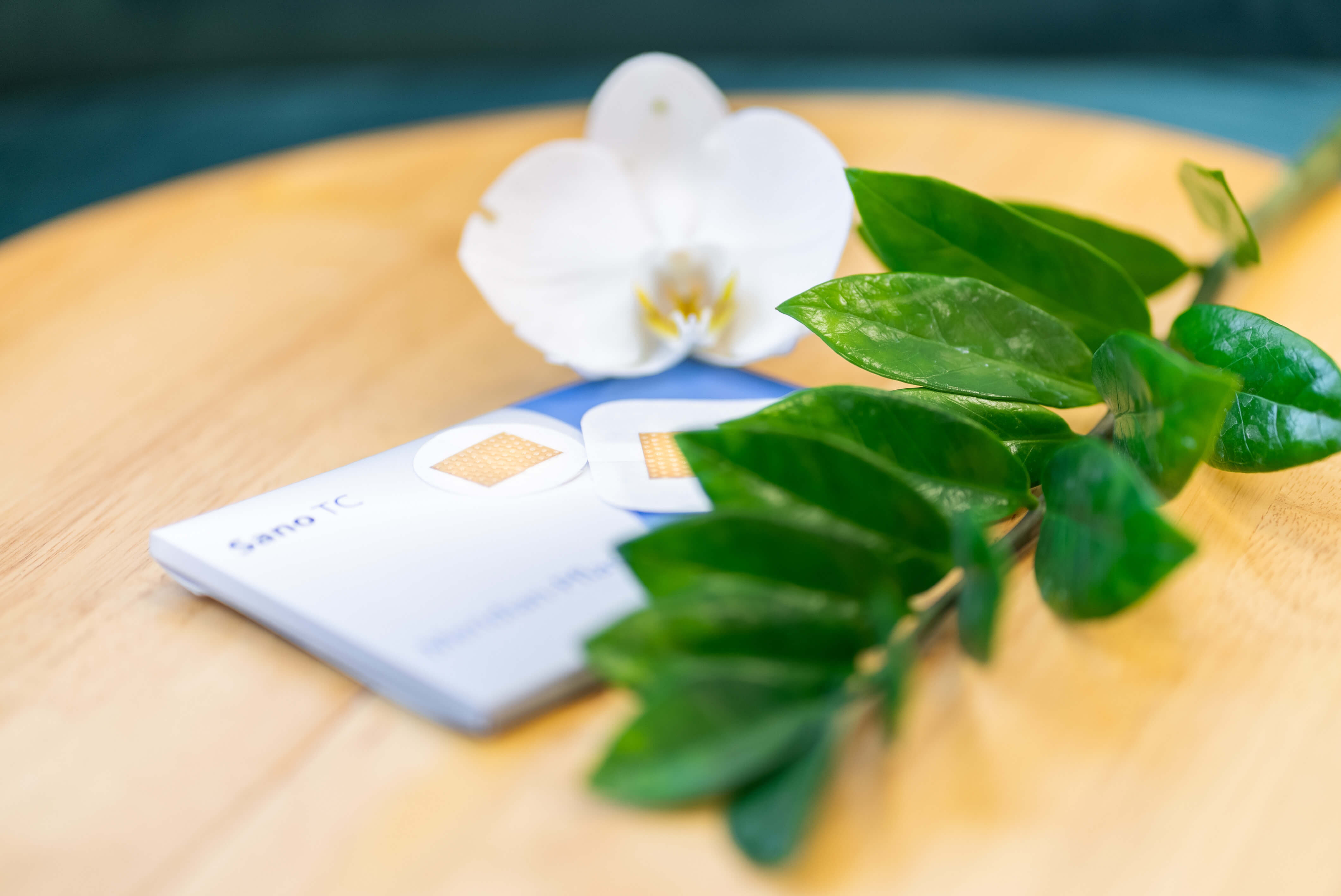 Produktfotos von SanoTC neben einer Pflanze
