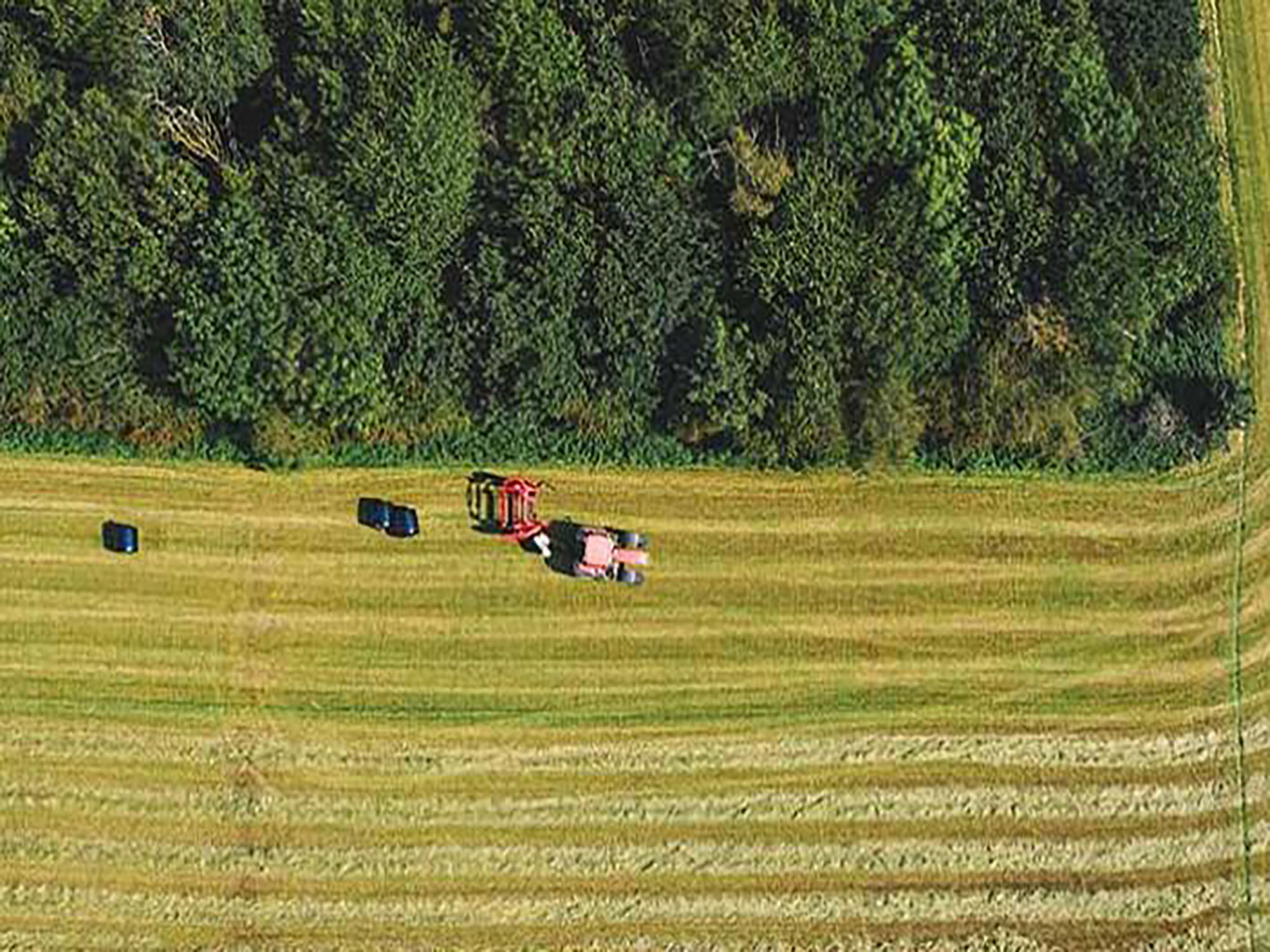 Paying farmers to create woodland and wetland is the most costeffective way to hit UK