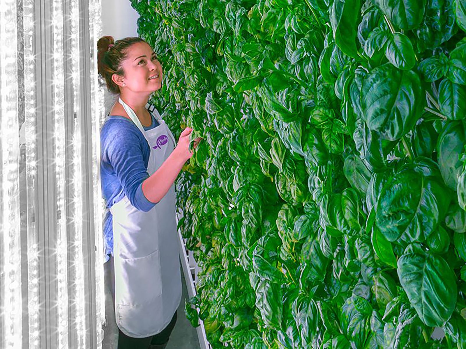 Realty and Plenty announce strategic alliance for up to US1