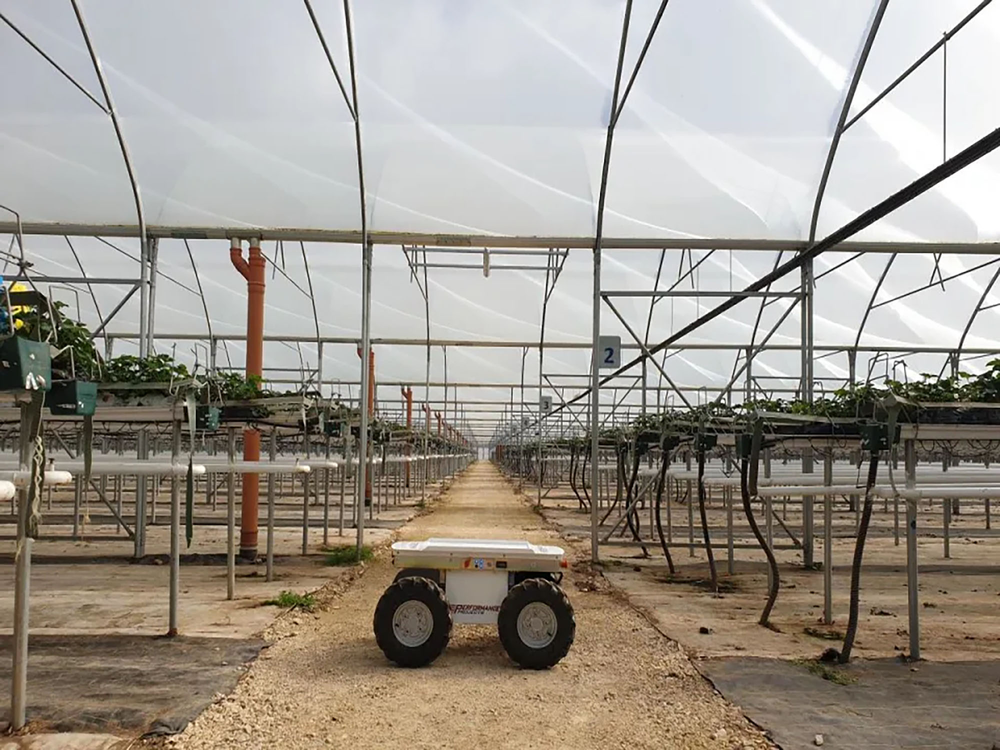 Norfolk fruit farm hosts pioneering robot trials