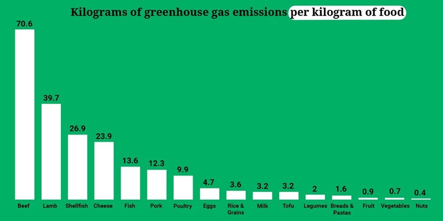 A graph showing the amount of greenhouse gas emissions per kilogramDescription automatically generated