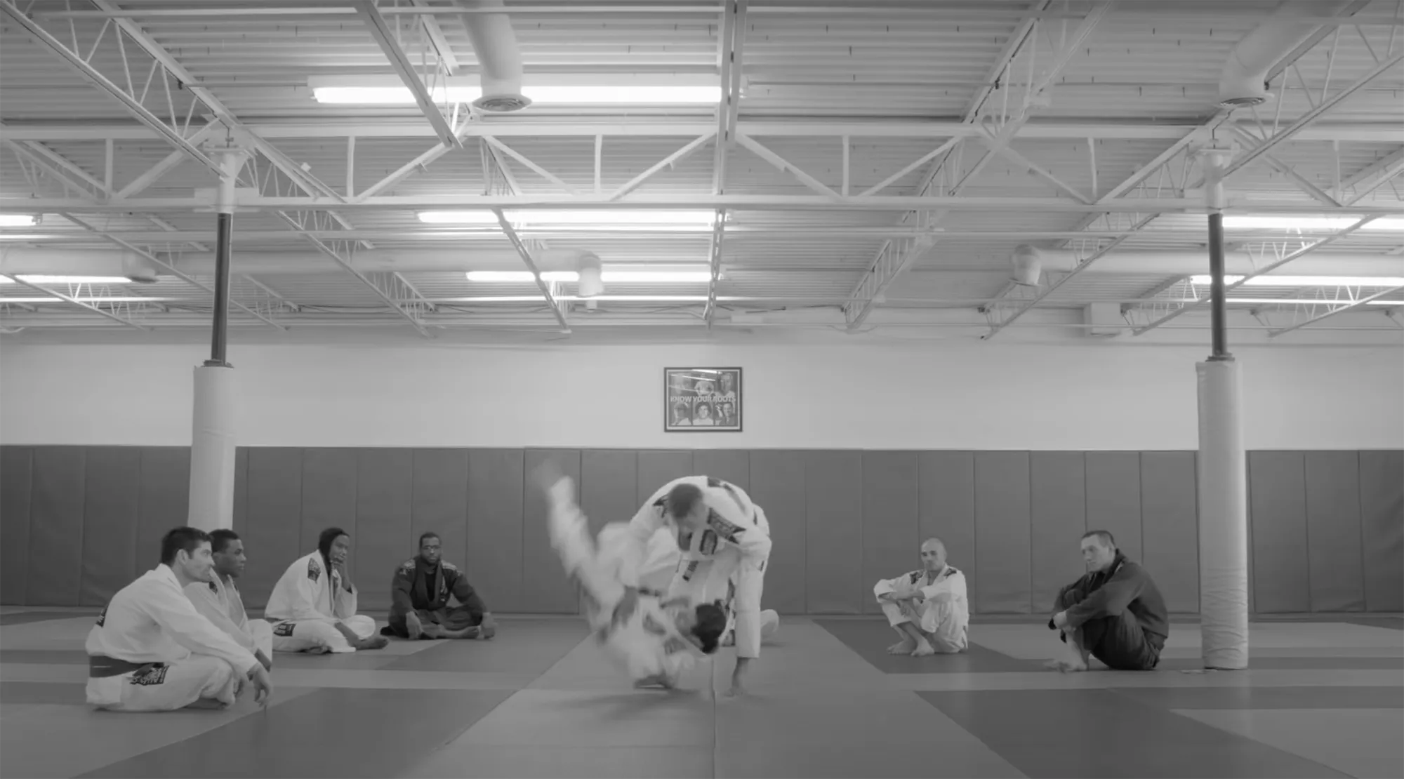 Alliance Jiu Jitsu Auckland 13x World BJJ Champions