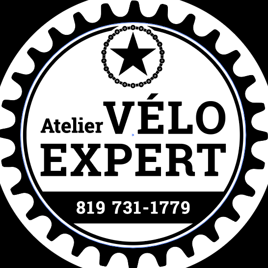 Atelier Vélo Expert