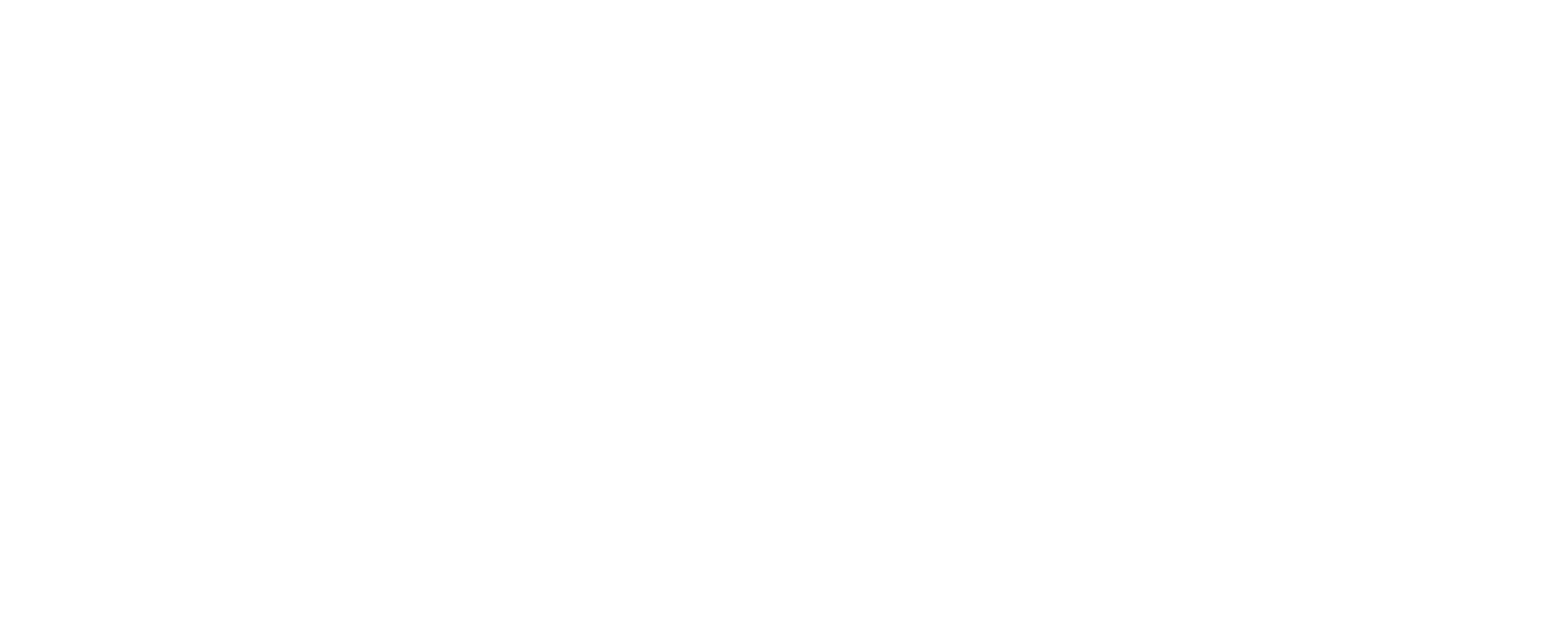 LHI Logo White