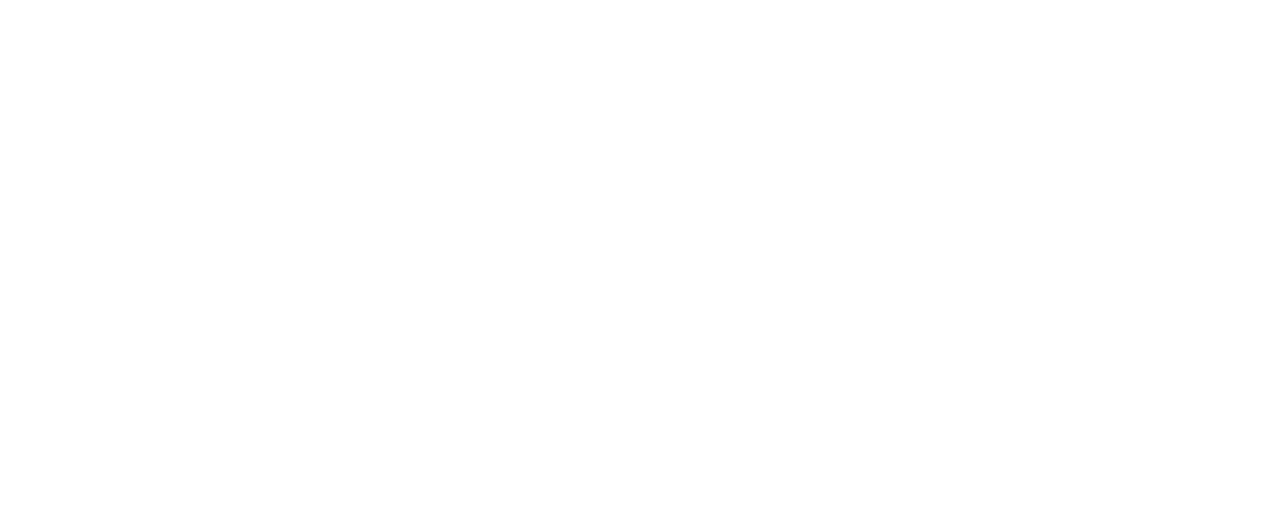 LHI Logo White