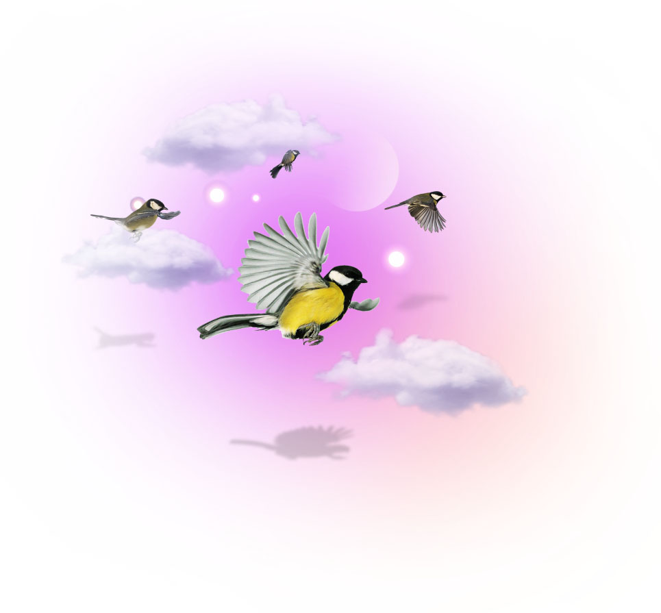 A flock of birds flying through clouds.