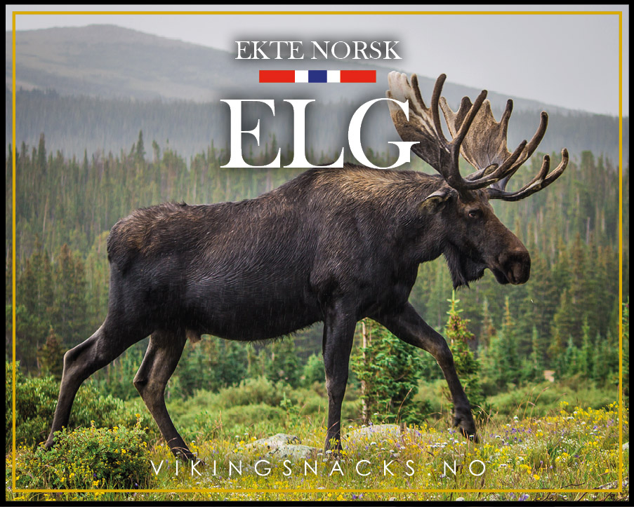 Elg