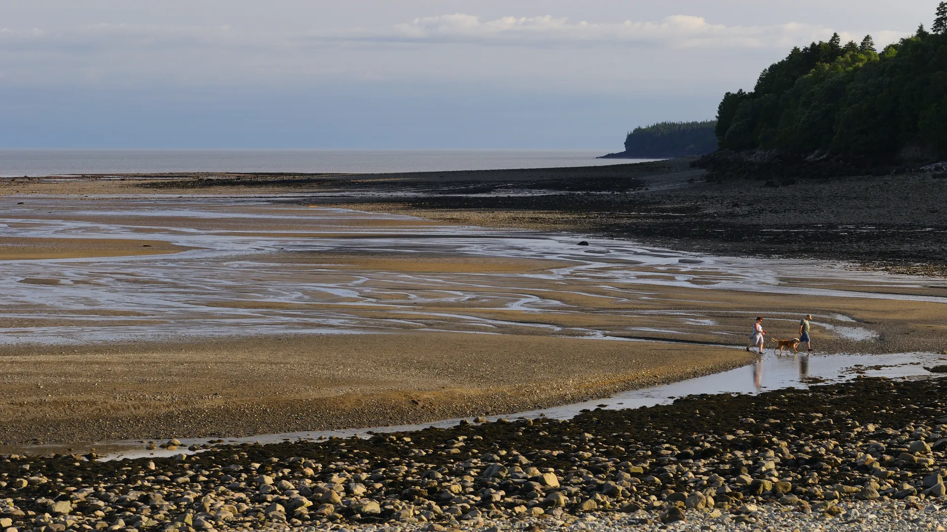 The 5 Largest Tides In The World