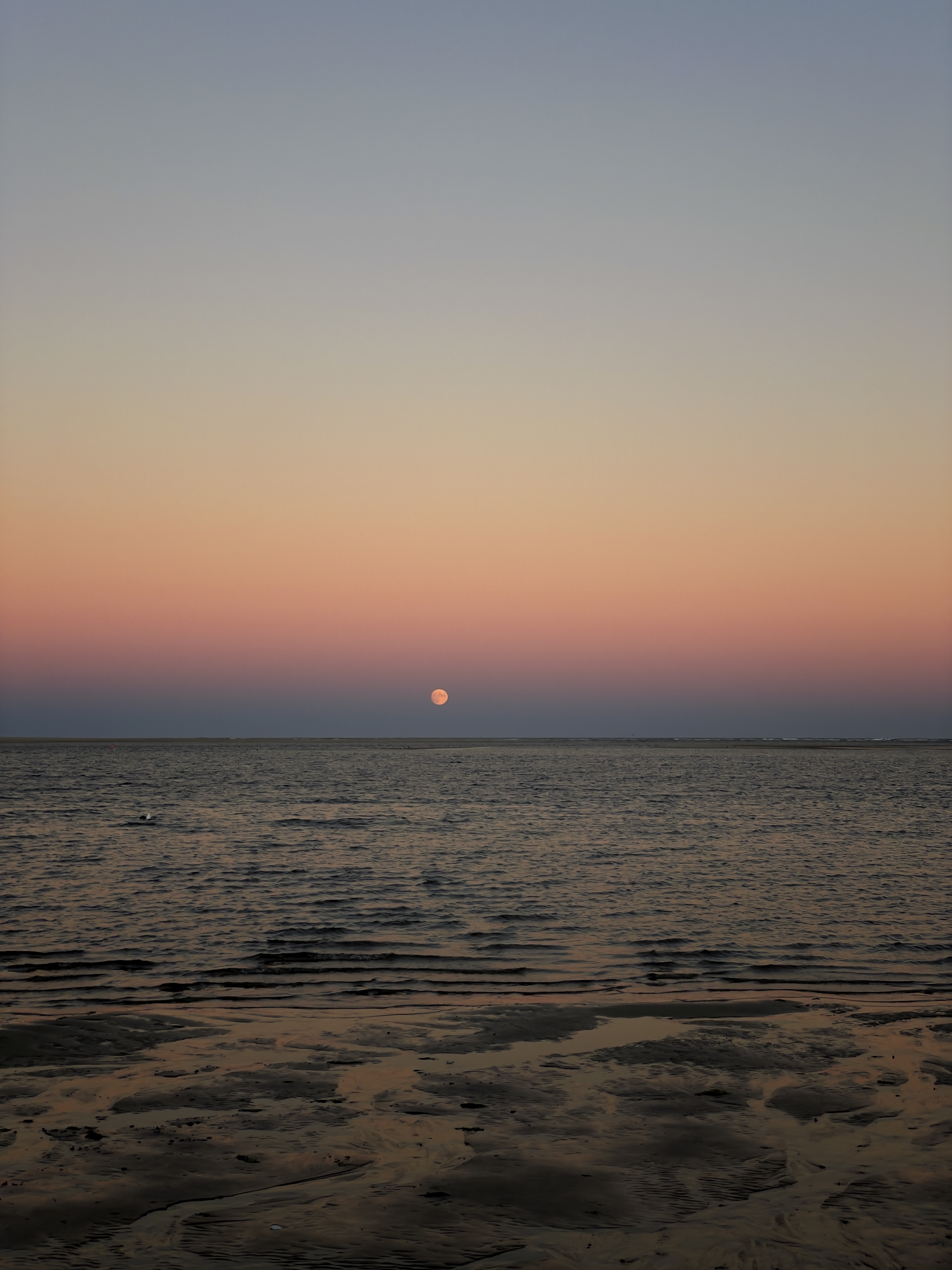 Understanding the Tides: Earth, Moon, and Sun