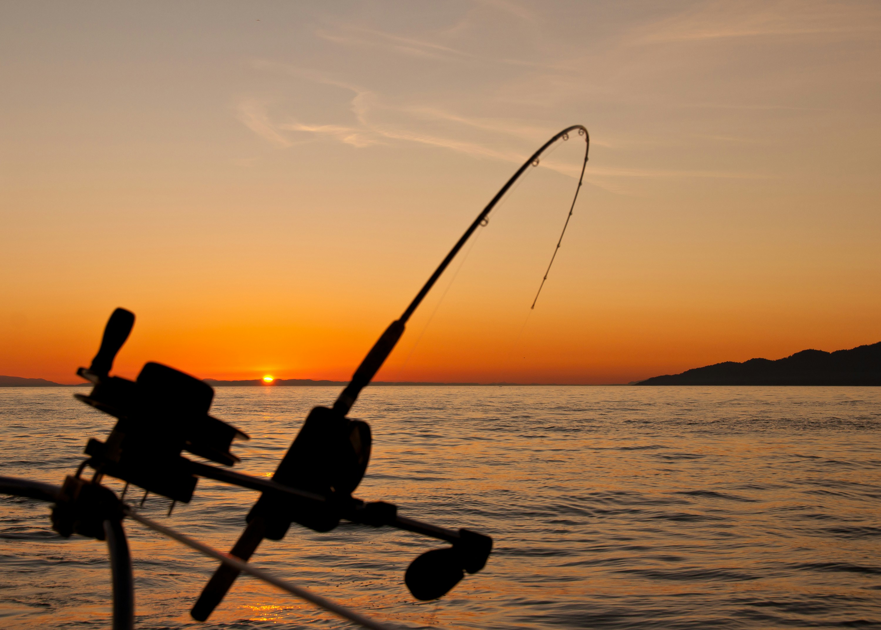 Understand Tides & Catch More Fish