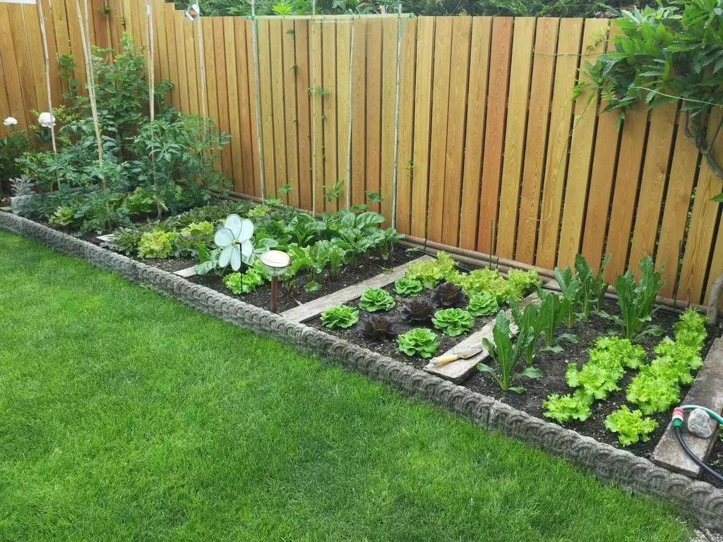 Step-by-Step Guide to Creating a Successful Home Garden