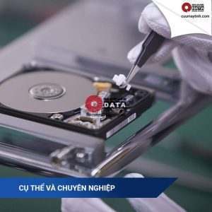 39096418 2279241538783131 4167984766827626496 n 300x300 1