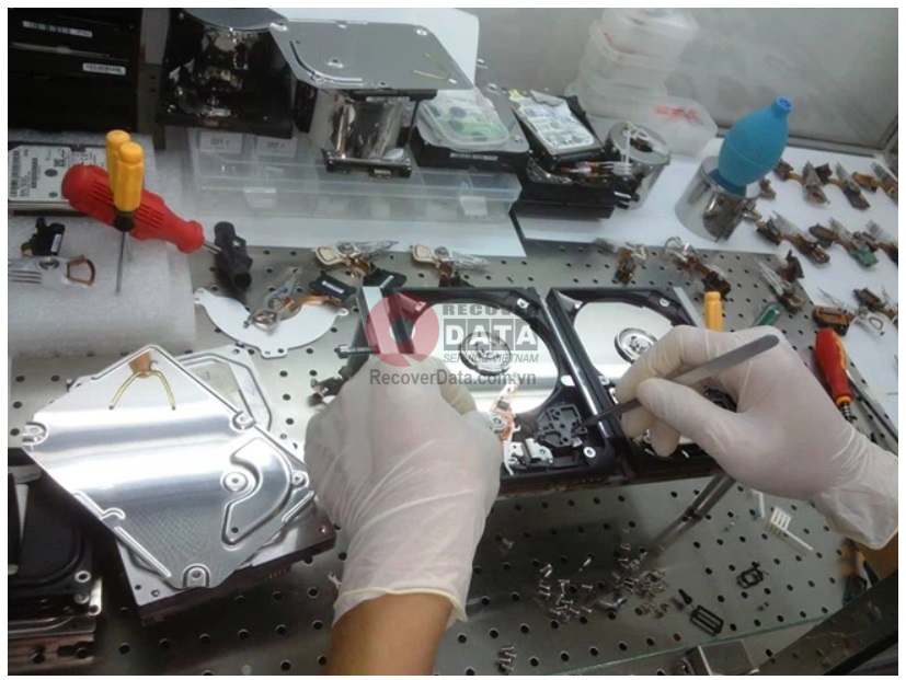 cuu du lieu o cung chet co 3