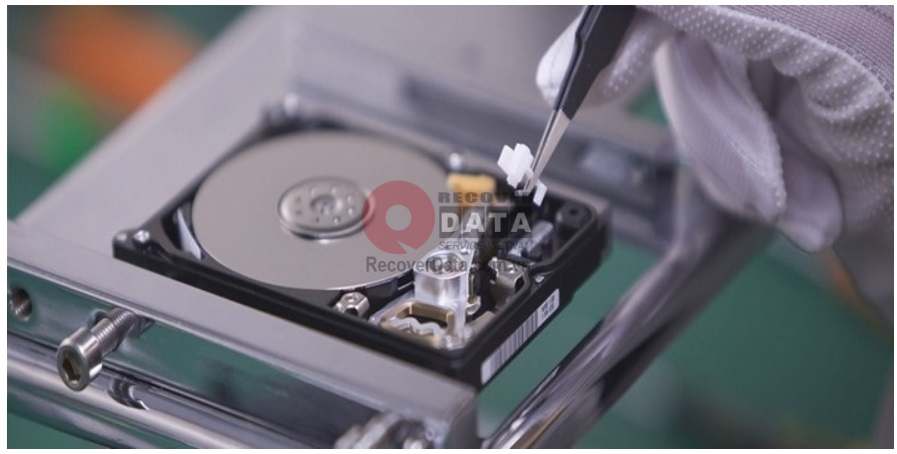 cuu du lieu o cung chet co 2