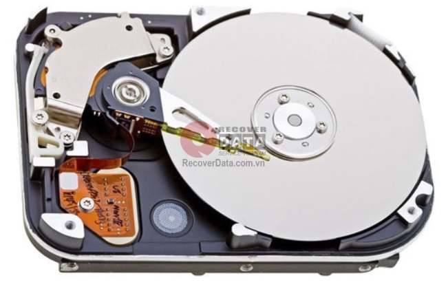 cuu du lieu o cung chet co 1