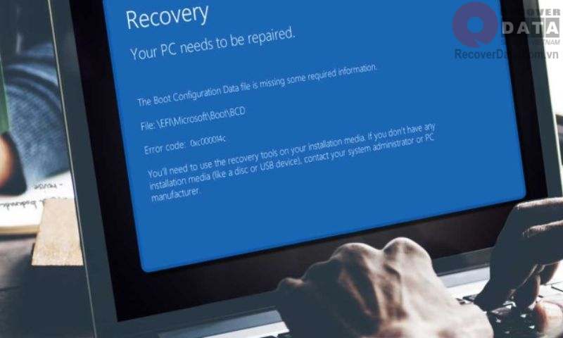 o cung ssd bi hong 2