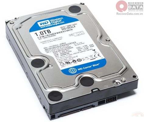 dich vu cuu du lieu o cung hdd 1