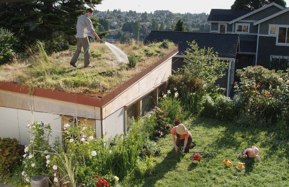 A man waters a garden on the roof of a house while a woman and baby play in a flourishing outdoor space.