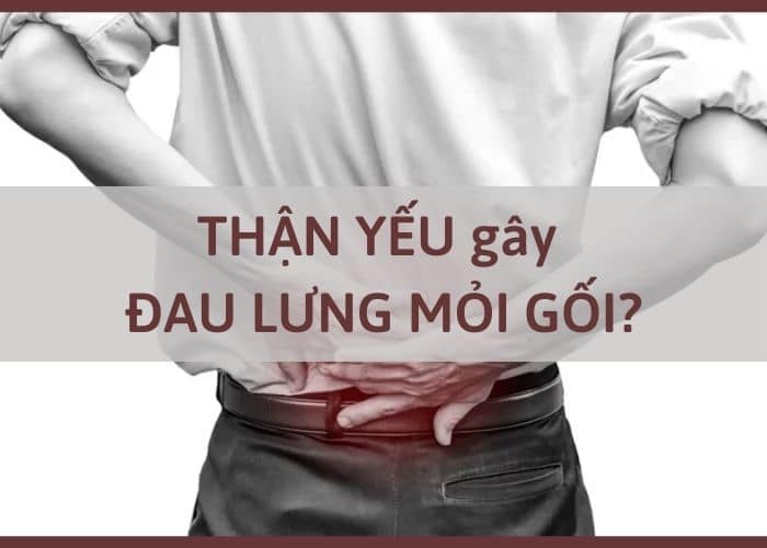 Thận yếu gây đau lưng mỏi gối