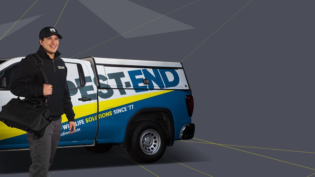 PestEnd Pest & Wildlife Control In MA, NH, ME, VT, & RI