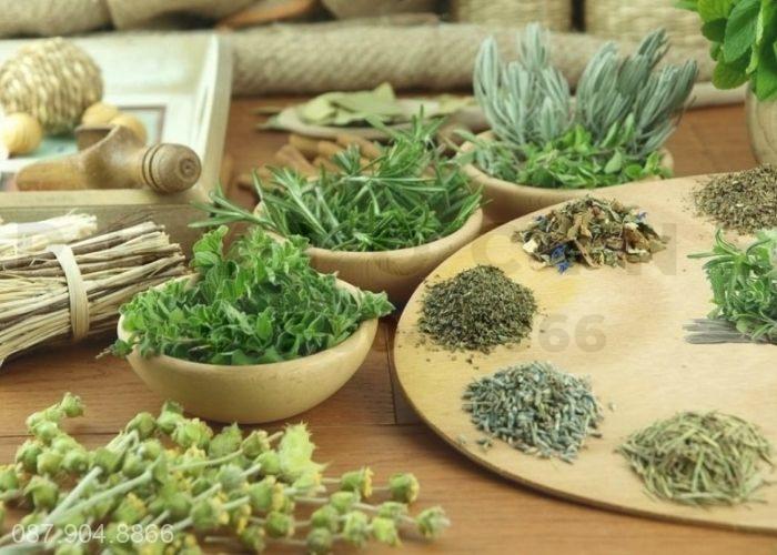 Thảo dược chữa viêm họng