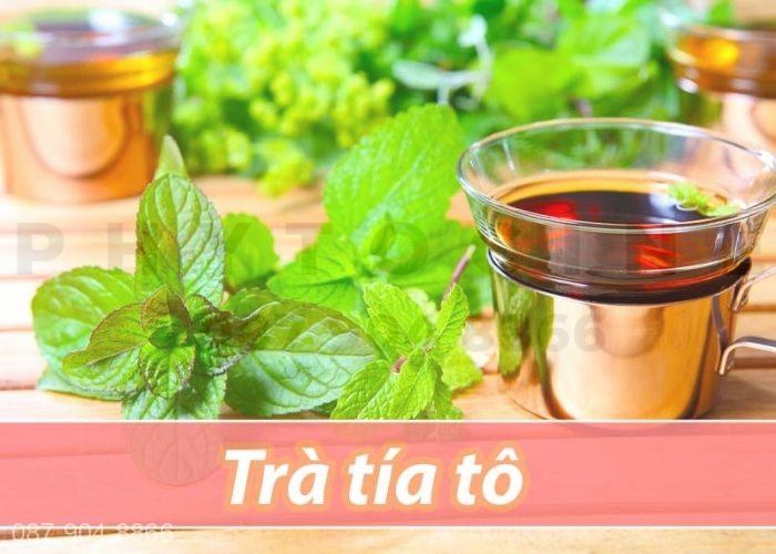 Trà tía tô chữa viêm họng