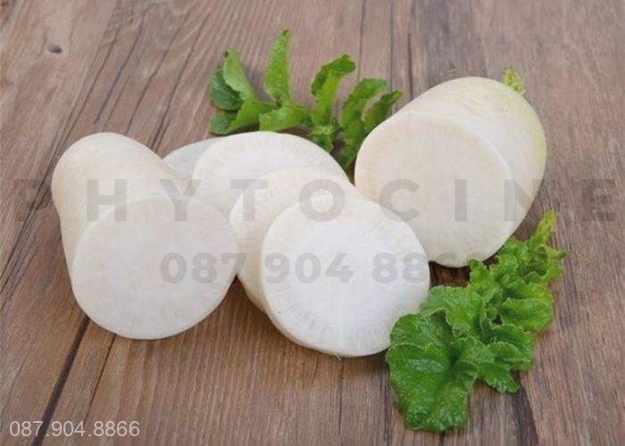Trị ho gió bằng củ cải trắng