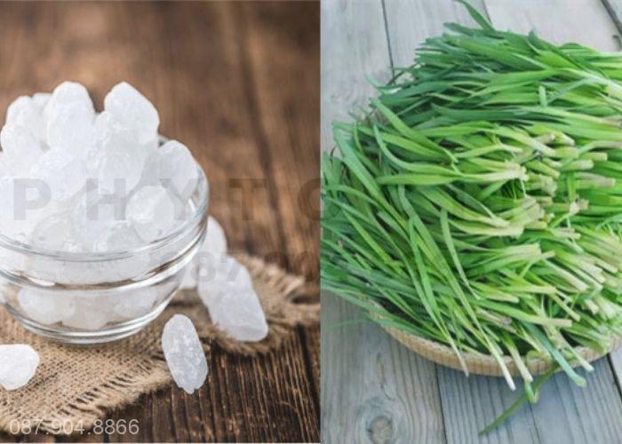 Chữa ho bằng lá hẹ và đường phèn