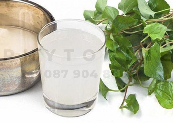 Rau diếp cá và nước vo gạo chữa ho