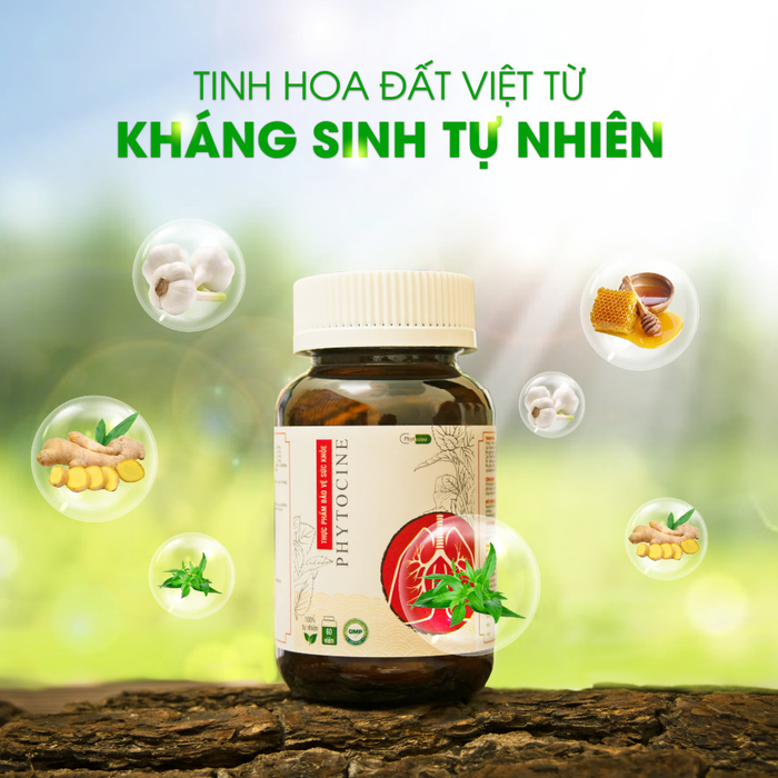 Phytocine - Thực phẩm bảo vệ sức khoẻ hỗ trợ điều trị viêm họng giả mạc