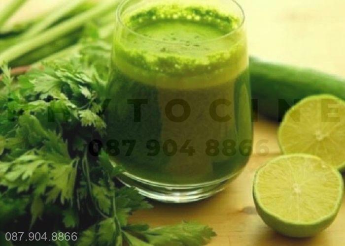 Lá ngải cứu chữa viêm họng