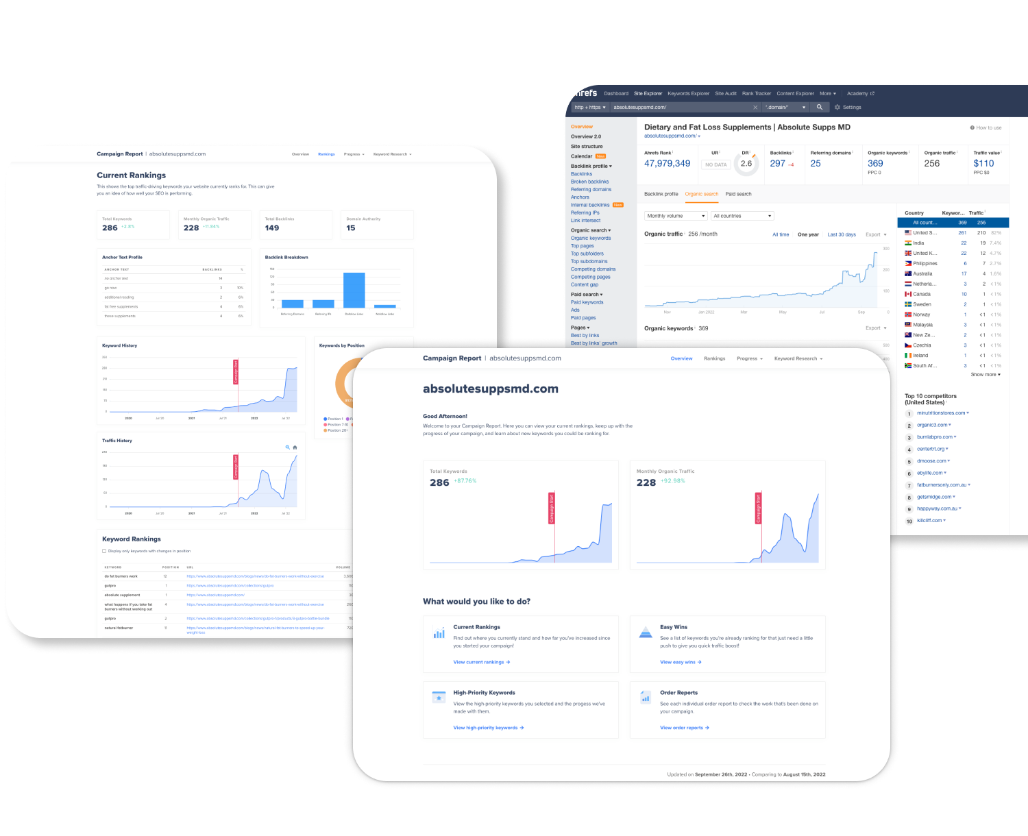 maverix design SEO stats