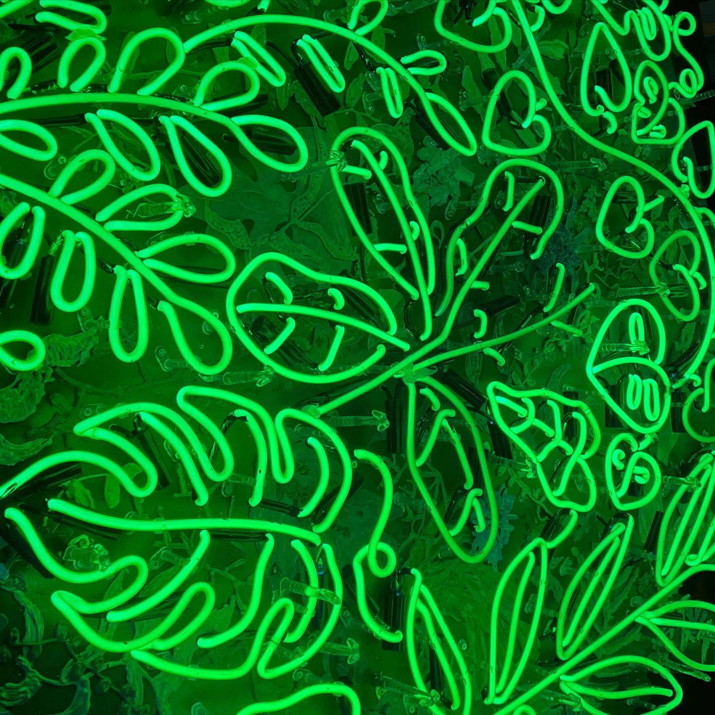 Advantages and Disadvantages of Different Neon Backings Neon Flamingo