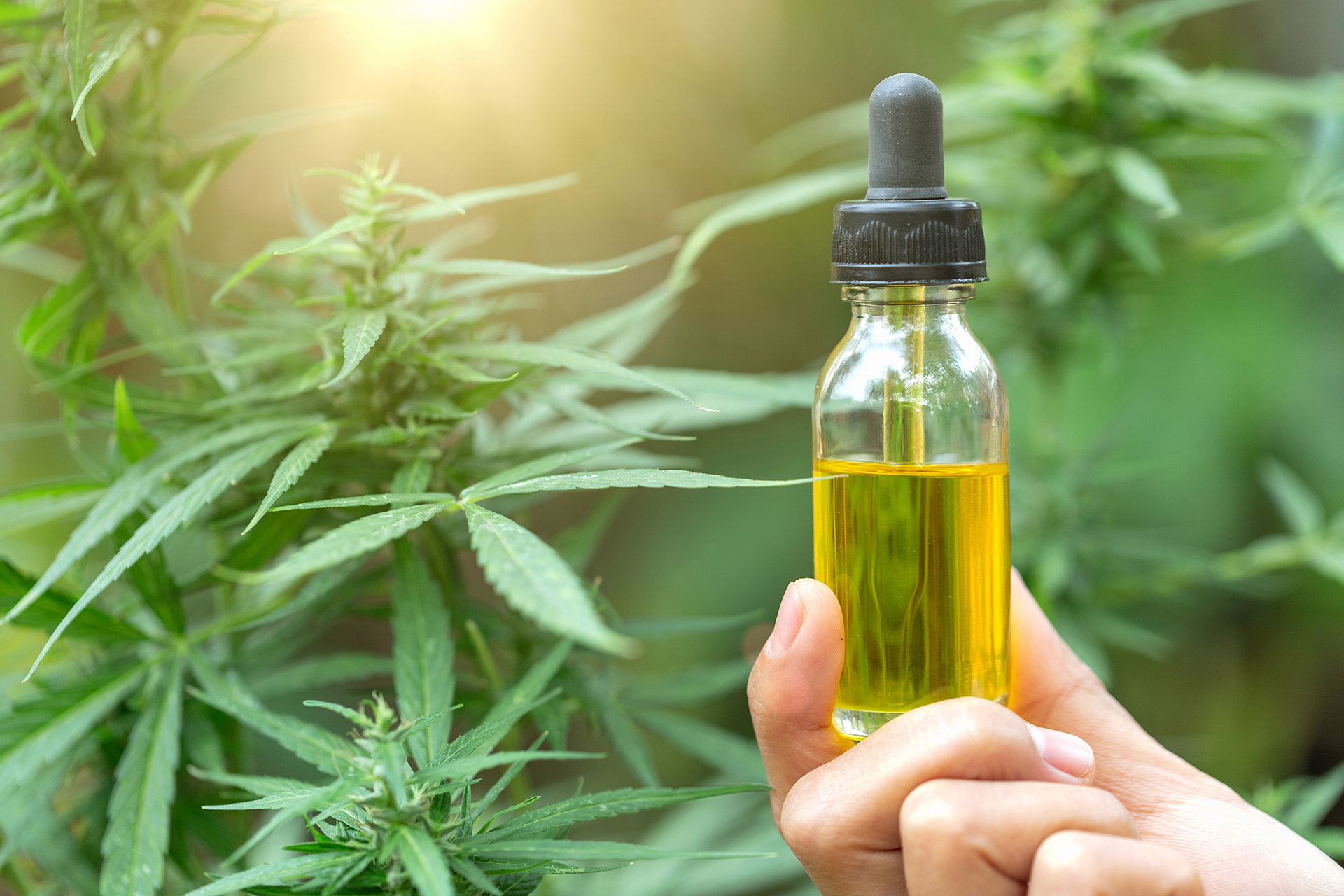 6-health-benefits-and-potential-side-effects-of-cbd-oil